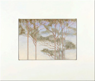 Untitled (Farm Landscape Tree Canopy) by Howard Taylor at Annandale Galleries