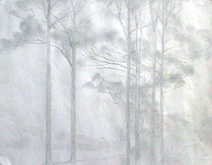 Untitled (Farm Landscape Tree Canopy) by Howard Taylor at Annandale Galleries