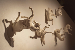 Memorial Wall of Gravity - Installation View by Clare Nicholson at Annandale Galleries