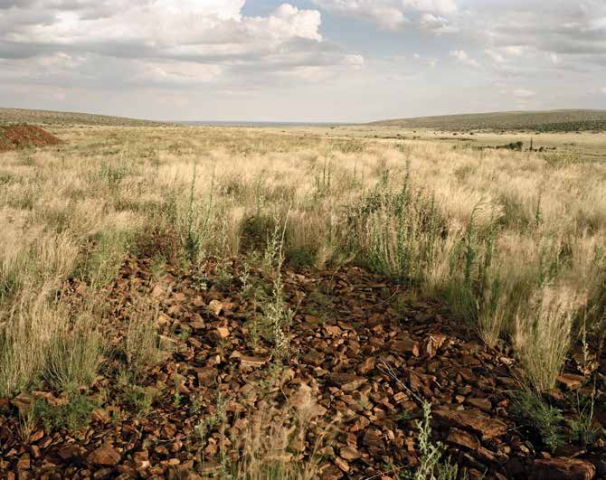 Tailings dump after reclamation, Owendale Asbestos Mine, Northern Cape. 24 December 2007 by David Goldblatt at Annandale Galleries