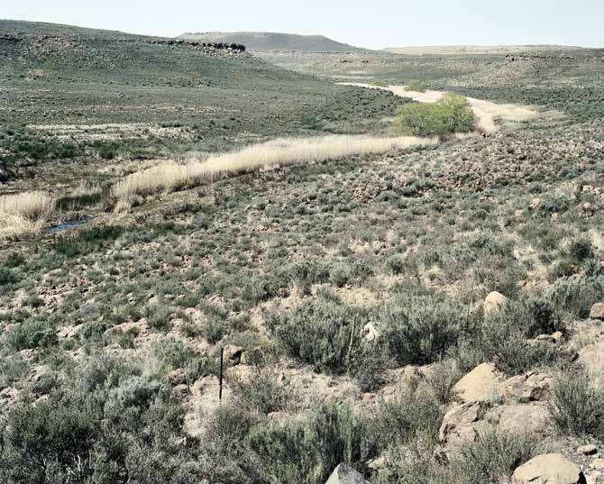 Springtime on the Sak River, Nuweveld, Karoo, Western Cape. 2002 by David Goldblatt at Annandale Galleries