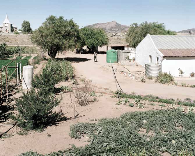 Agtertuin, Kamieskroon, Northern Cape. 30 December 2003 by David Goldblatt at Annandale Galleries