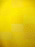 Indochine Yellow by Lesley Dumbrell at Annandale Galleries