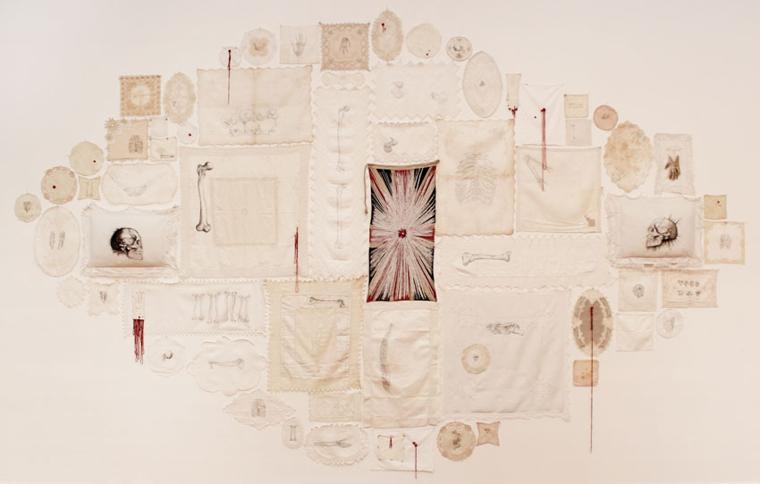 Installation by megan evans at Annandale Galleries