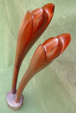Sprouts by Andrew Blake at Annandale Galleries