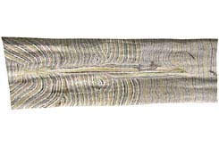 Metamorphosis/Djirikitj by Djambawa Marawili at Annandale Galleries