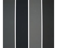 Painting in Four Different Greys - C B D A by Alan Charlton at Annandale Galleries