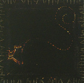 Anima Sola No.41 by Godwin Bradbeer at Annandale Galleries