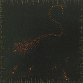 Anima Sola No.40 by Godwin Bradbeer at Annandale Galleries