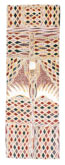 Wurran by Gunybi Ganambarr at Annandale Galleries