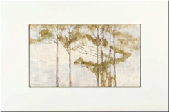Untitled (Farm Landscape Tree Canopy) by Howard Taylor at Annandale Galleries
