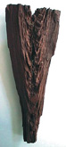 Study For Weathered Jarrah by Howard Taylor at Annandale Galleries
