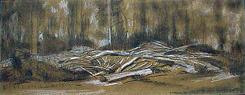 Burnt Winnrow by Howard Taylor at Annandale Galleries