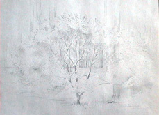 Untitled (Foliage) by Howard Taylor at Annandale Galleries