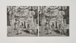 A Cat in the Meat Trade by William Kentridge at Annandale Galleries