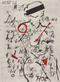 Nose 24 by William Kentridge at Annandale Galleries