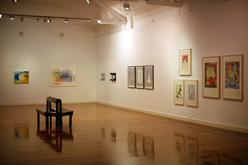 Installation Photo by William Tillyer at Annandale Galleries