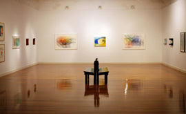 Installation Photo by William Tillyer at Annandale Galleries