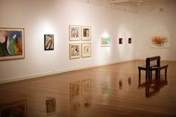 Installation Photo by William Tillyer at Annandale Galleries
