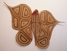 Butterfly by Marina Murdilnga at Annandale Galleries