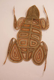 Frog by Marina Murdilnga at Annandale Galleries