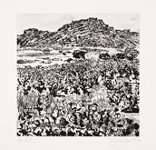 West Coast Etchings:  Skurfberg by William Kentridge at Annandale Galleries