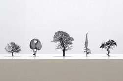 In the Heat of the Night by Zadok Ben-David at Annandale Galleries