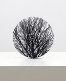 Sunny moon by Zadok Ben-David at Annandale Galleries