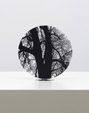 Deep in the Wood by Zadok Ben-David at Annandale Galleries