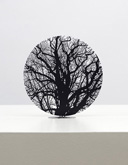 Mid Spring by Zadok Ben-David at Annandale Galleries