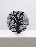 Winter's End by Zadok Ben-David at Annandale Galleries