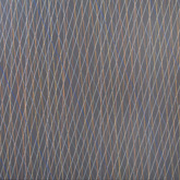 Pandius by Lesley Dumbrell at Annandale Galleries