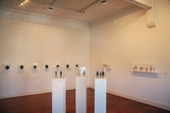 Installation Photo by Zadok Ben-David at Annandale Galleries