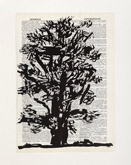 Untitled (Ref. No. 41 / Tree III) by William Kentridge at Annandale Galleries