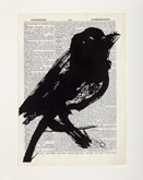 Untitled (Ref. No. 26 / Bird IV) by William Kentridge at Annandale Galleries
