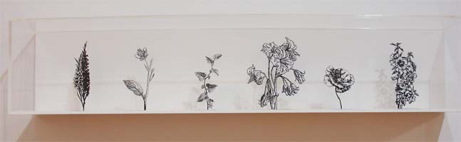 Random Choice by Zadok Ben-David at Annandale Galleries