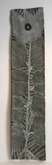 Dhatam by Malaluba Gumana at Annandale Galleries