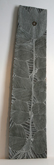 Dhatam by Malaluba Gumana at Annandale Galleries