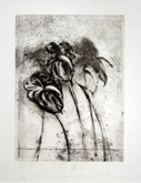 Anthurium, from Temple of Flora by Jim Dine at Annandale Galleries