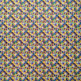 Aster II by Cathy Blanchflower at Annandale Galleries
