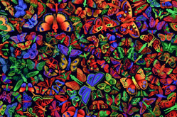 The Other Side of Midnight - Detail by Zadok Ben-David at Annandale Galleries