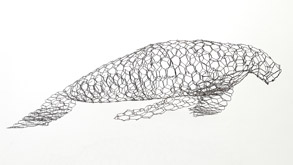 Dugong by Gunybi Ganambarr at Annandale Galleries