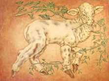 And Little Lambs Eat Ivy by Kim Spooner at Annandale Galleries