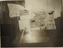 Dolphins by Michael McInerney at Annandale Galleries