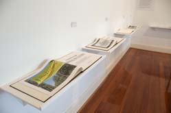 Installation view by Bruce Searle at Annandale Galleries