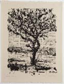 Stone Tree II by William Kentridge at Annandale Galleries