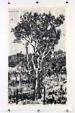 Lekkerbreek by William Kentridge at Annandale Galleries