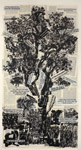If You Have No Eye by William Kentridge at Annandale Galleries