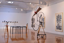 Install 1 by William Kentridge at Annandale Galleries
