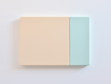 Flesh Green by Suzie Idiens at Annandale Galleries